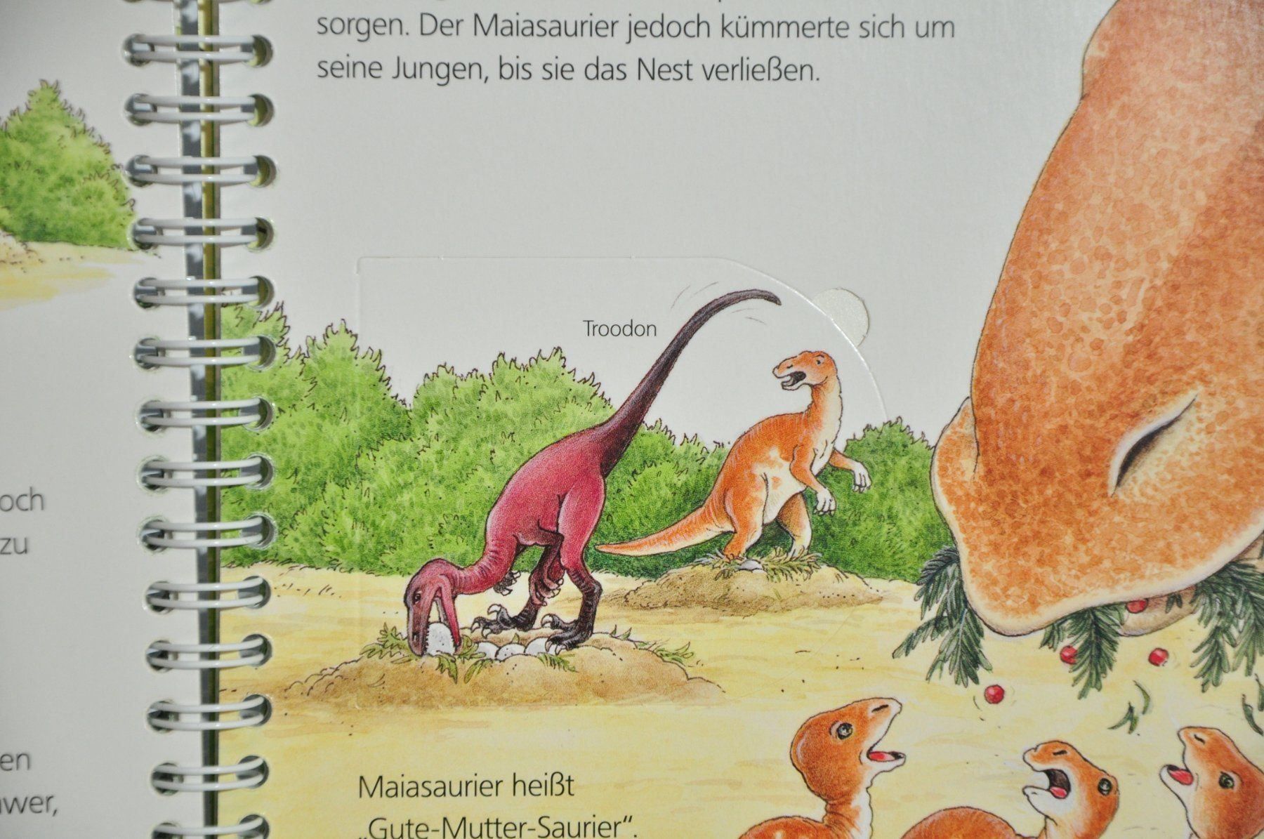 Bücher: Wieso Weshalb Warum? junior: Dinosaurier – Gebraucht aus Lustmühle von Glatisant 4