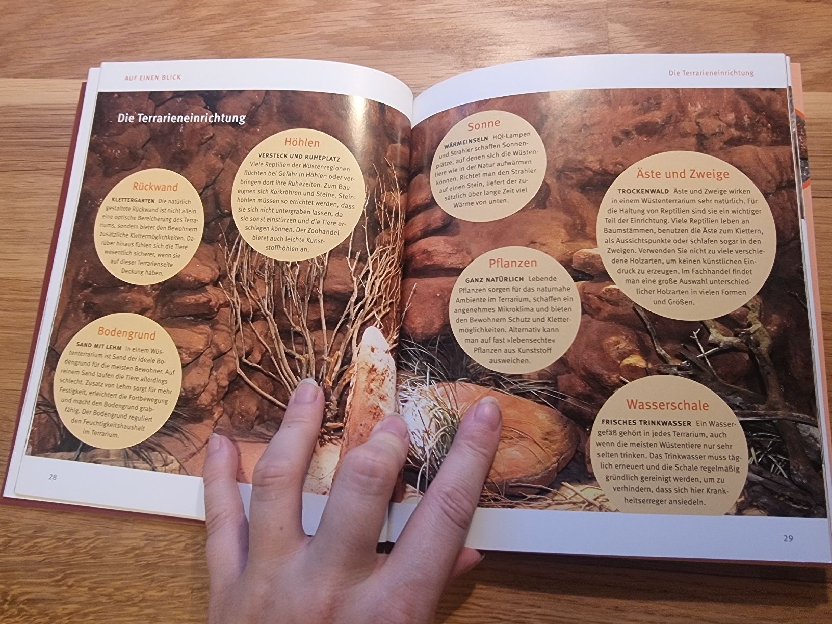 Livres: Wüstenterrarium – Neuf (Voir description) à Derendingen par Sarah.jana 2