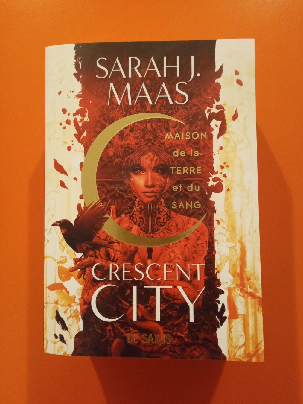 Libri: livre Crescent City – Usato da Fully venduto da aur_9pb8