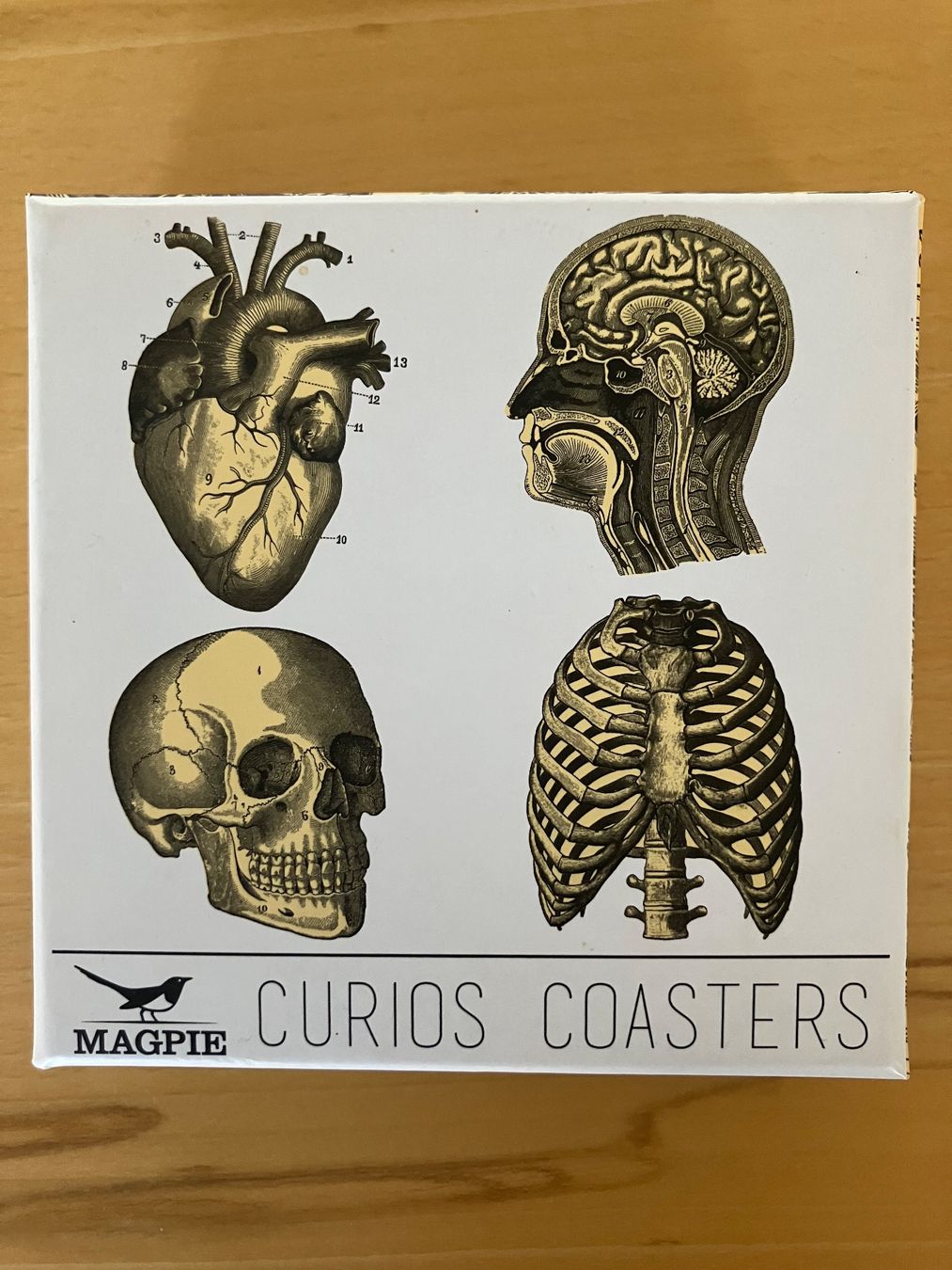 Sottobicchieri: Untersetzer 4er Set, Anatomie Motive – Usato da Winterthur venduto da Patipippilotta7
