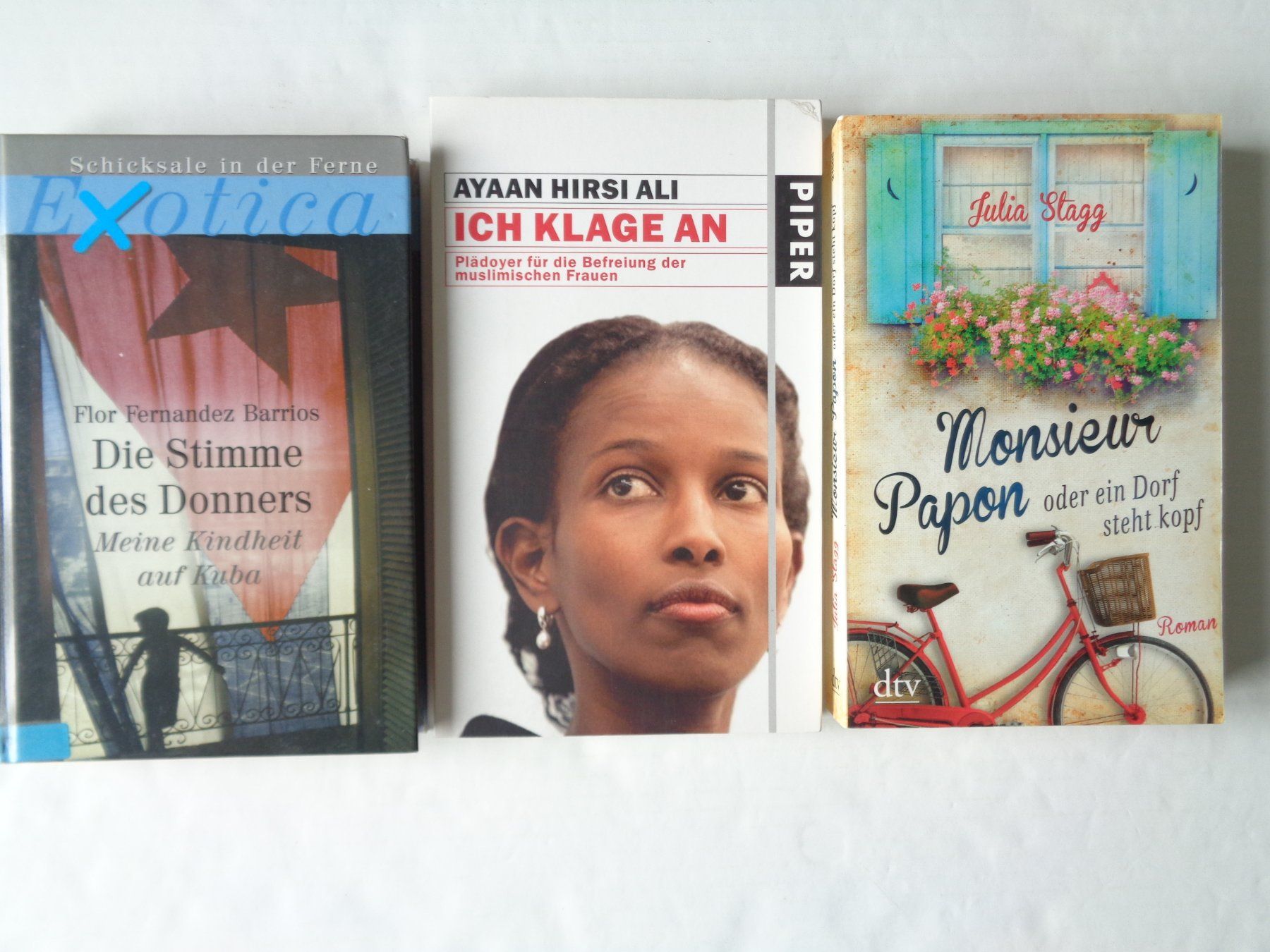 Bücher: 9 Bücher – Romane - Konvolut – Gebraucht aus Chur von omonia 7