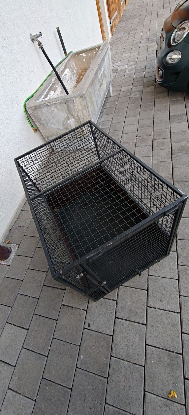 Käfige, Transport & Sicherheit: Hundebox gross – Gebraucht aus Marthalen von TollwutBiber 1
