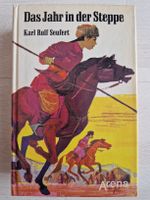 Das Jahr in der Steppe - Abenteuerroman für Jugendliche