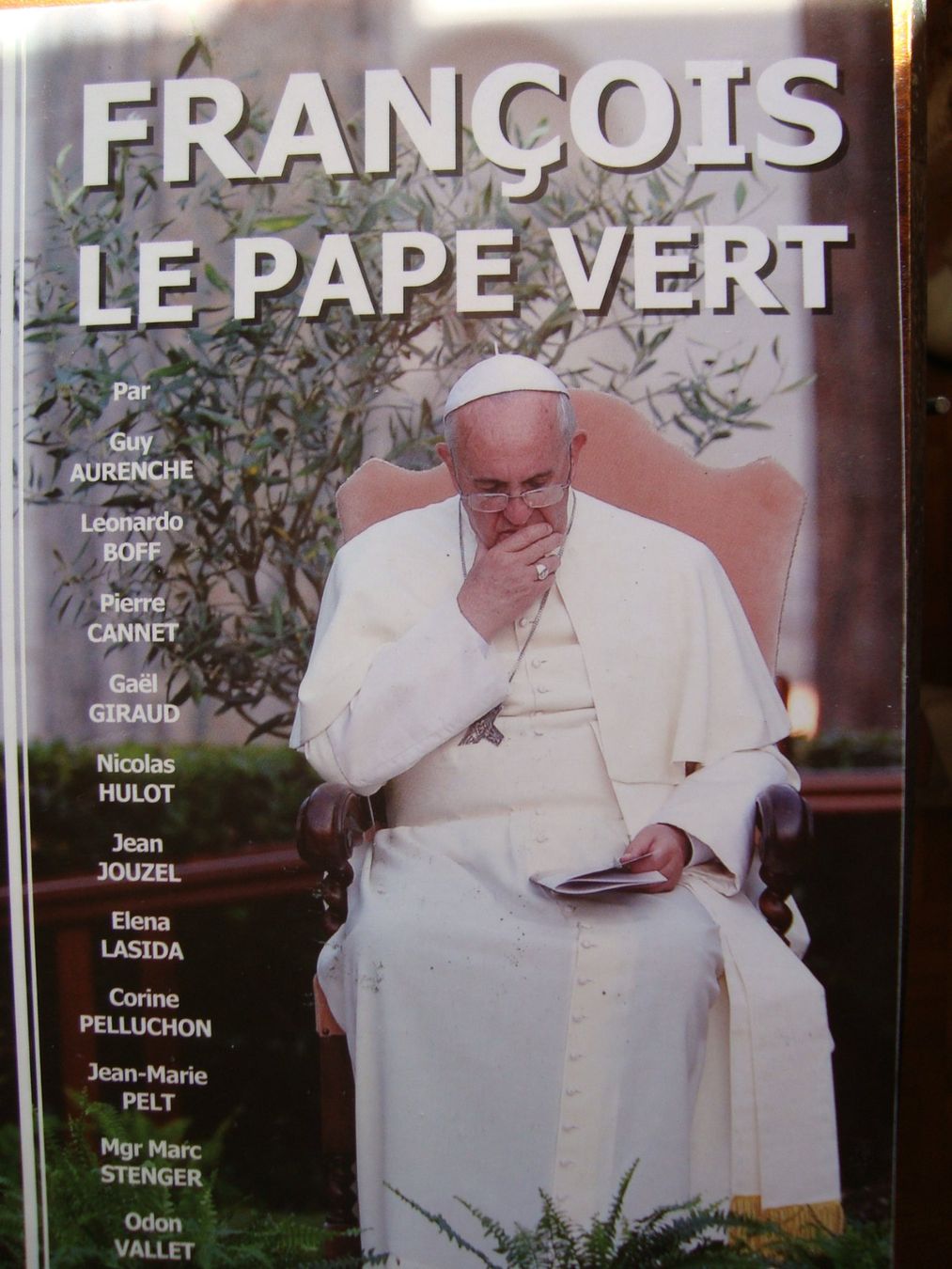 Bücher: François, le pape vert – Neu (gemäss Beschreibung) aus Fribourg von ruswil007