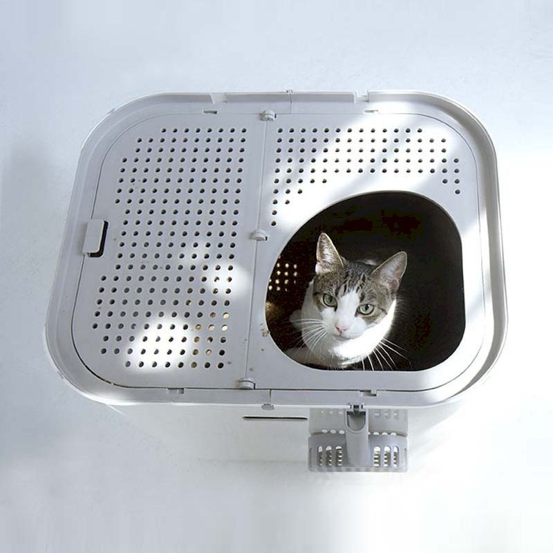 Autres accessoires pour animaux: Modkat XL Katzentoilette 53x41x43cm – Neuf avec emballage d'origine à Bottighofen par zaap 5