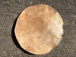Trommelfell, Trommelhaut, Pferdehaut 45 cm (Nr.7)