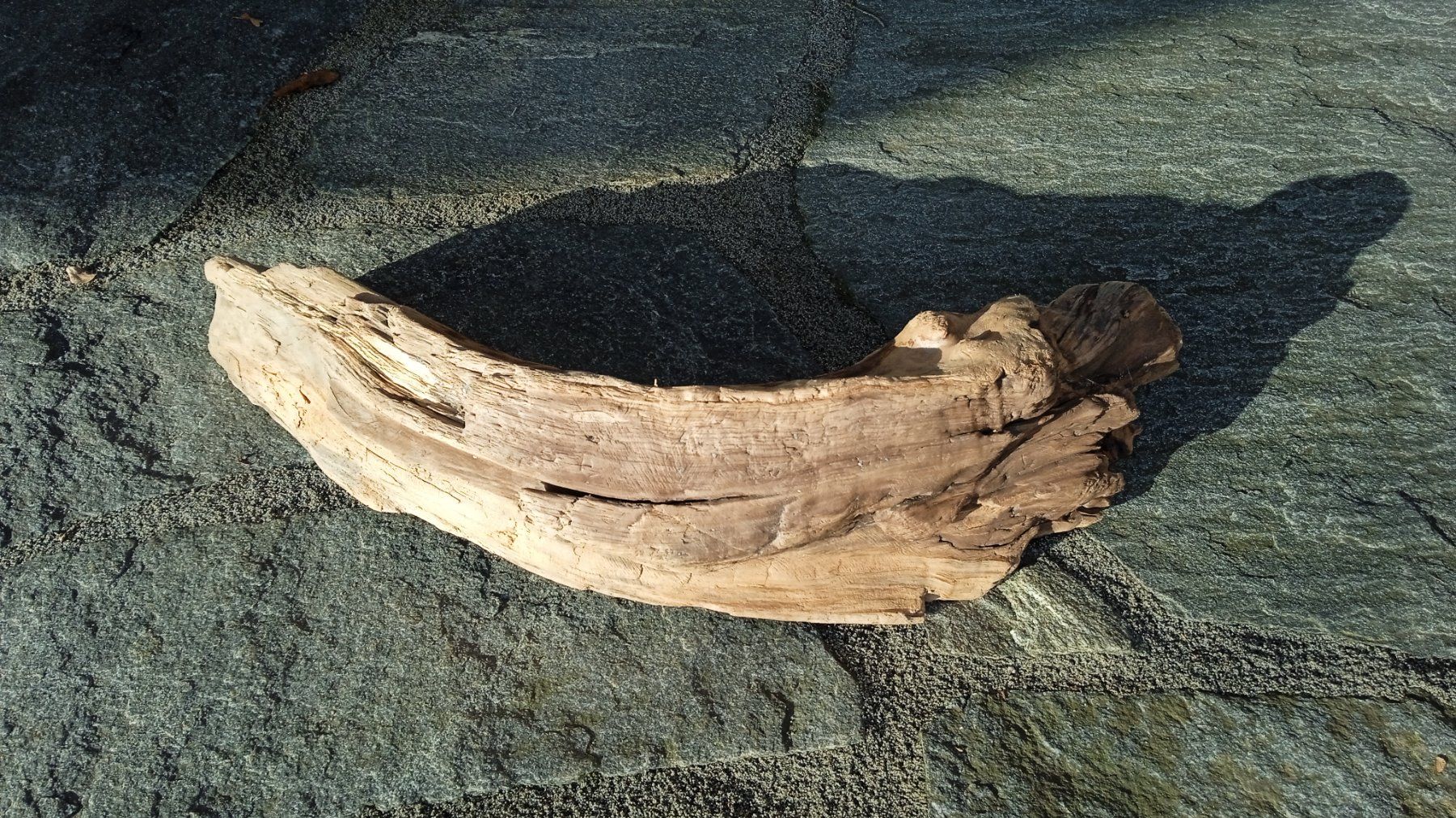 Articoli in legno: Dekor Schwemmholz – Nuovo e nell'imballaggio originale da Widnau venduto da ForViolin 1