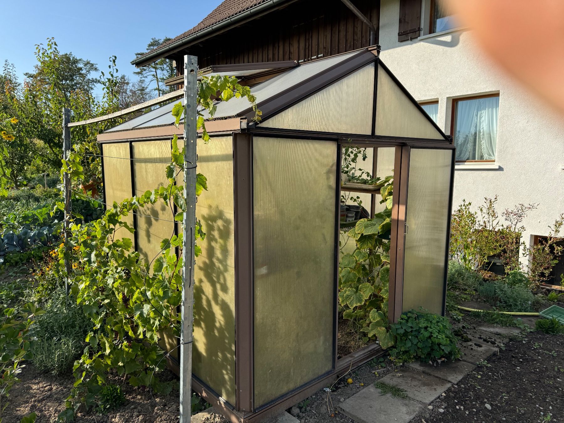 Cabanes de jardin & serres: Gewächshaus – D'occasion à Bubikon par hanspeterbhp 3