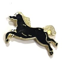 Pin schwarzes Pferd