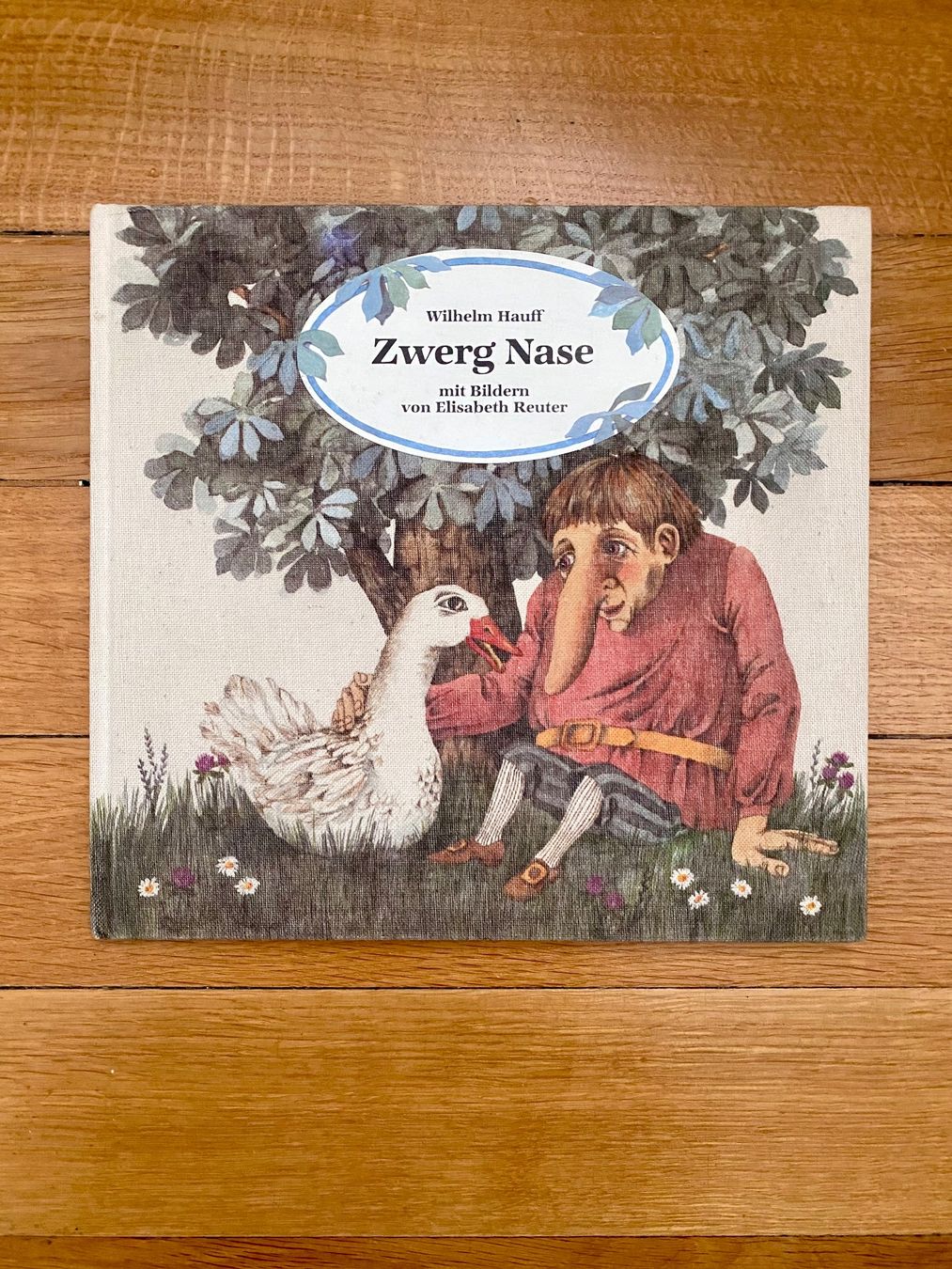 Libri: Zwerg Nase, Wilhelm Hauff, Märchen – Usato da Muttenz venduto da Bugijeta