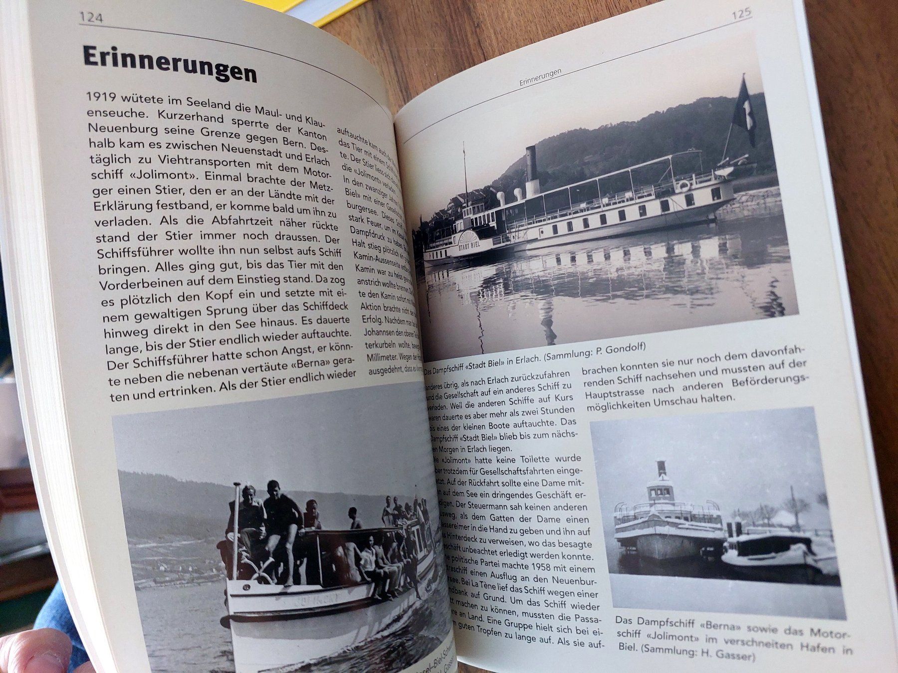 Bücher: Bielersee-Schiffahrts-Gesellschaft - Prellbock Verlag – Gebraucht aus Schönenwerd von Steidi 3