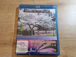 Eine Frühlingssymphonie / Bunte Blüten NEU OVP RAR Bluray