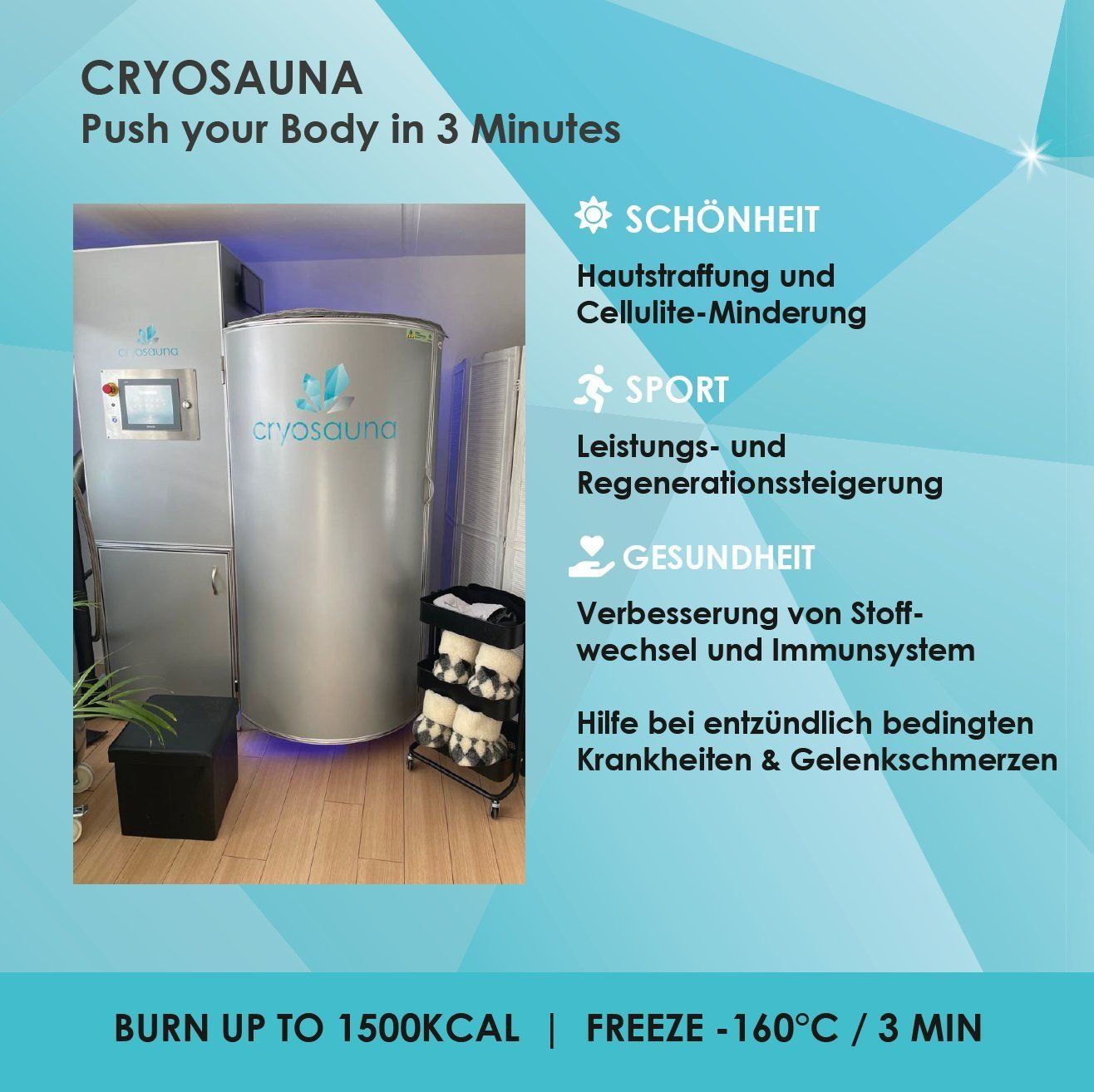 Attrezzature mediche: Stickstoff Cryosauna / Kältekammer – Usato da Niederwil AG venduto da Padel1985 3