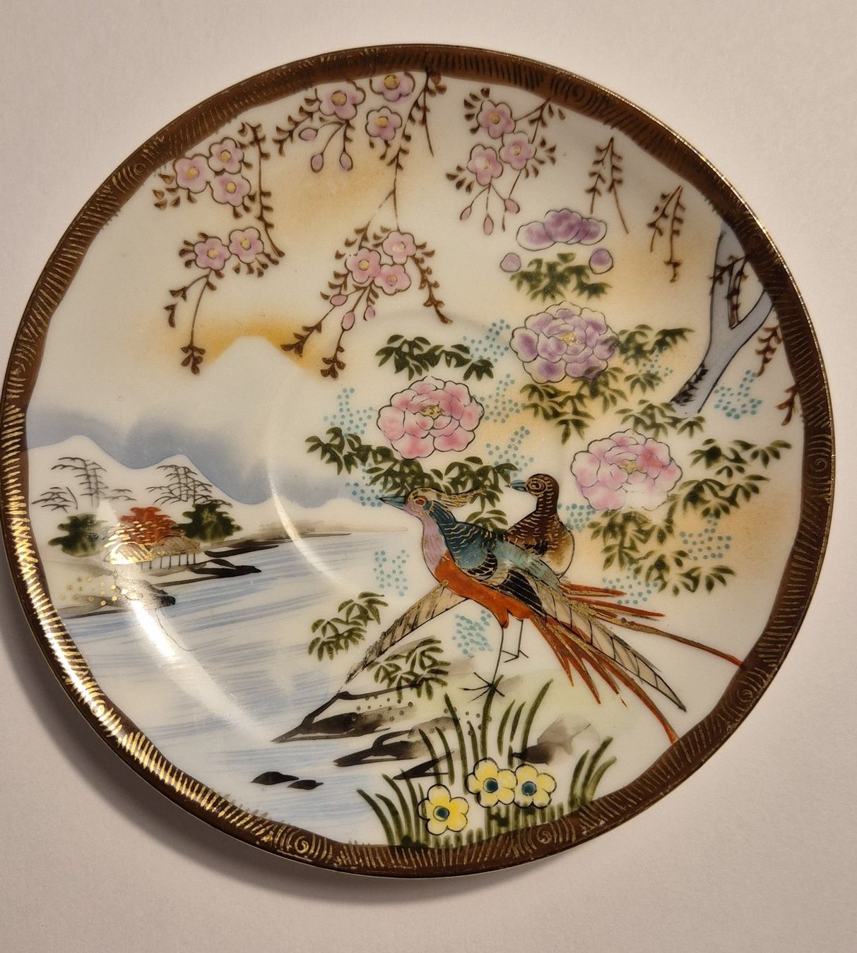 Set di piatti: Teeset (Japanisch oder Chinesisch?) – Usato da Niederweningen venduto da Cactus63 2