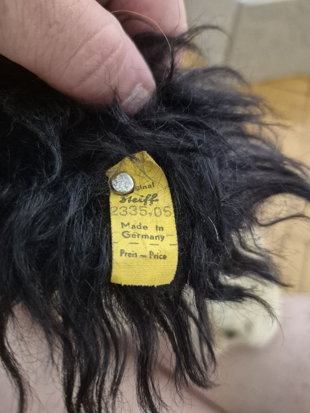 Steiff Spielzeuge: Steiff Hund Cockie – Gebraucht aus Bern von san_kcw5 2