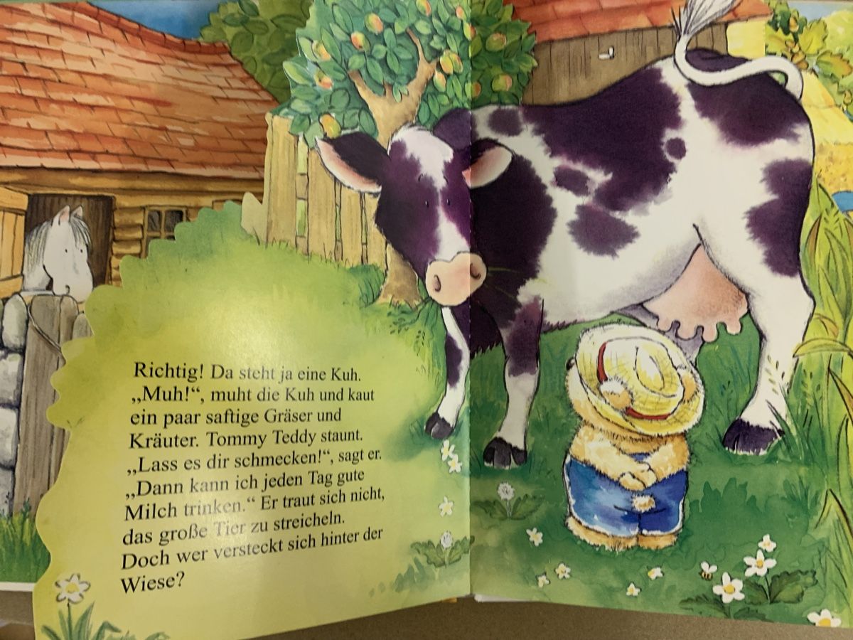 Libri: Tommy Teddy entdeckt Haustiere, Kinderbuch, Ki40 – Nuovo (secondo la descrizione) da Erlenbach ZH venduto da Ritschly 3