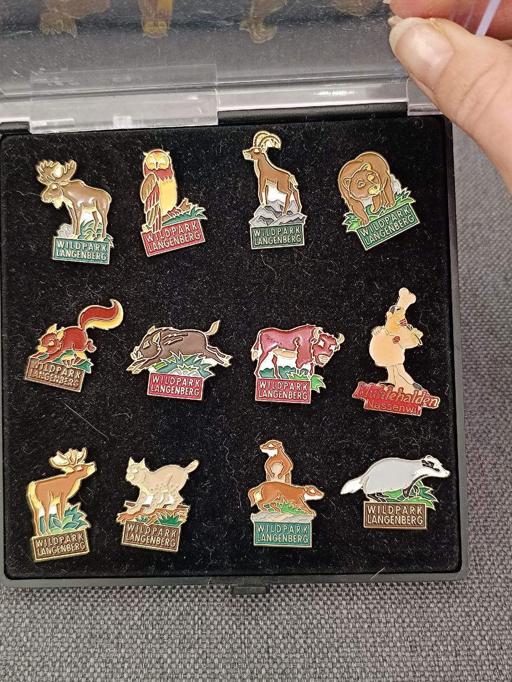 Placchette & Badge: 12 Ansteckpins / Pin – Nuovo (secondo la descrizione) da Oensingen venduto da jes_55lt