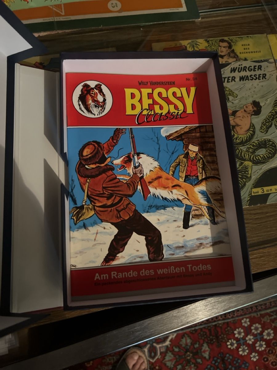 Comics: 6 Bessy Comic Aufbewahrungsboxen massiv Karton – Gebraucht aus Gysenstein von Comic_sammler 2