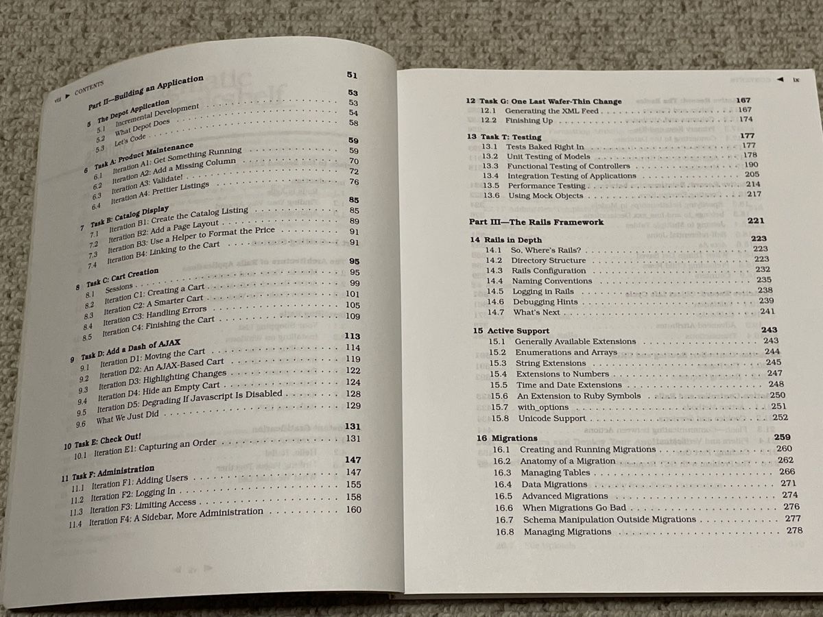 Libri: Agile Web Development with Rails, 2nd Edition, Top Zustand – Usato da Ehrendingen venduto da renue 2