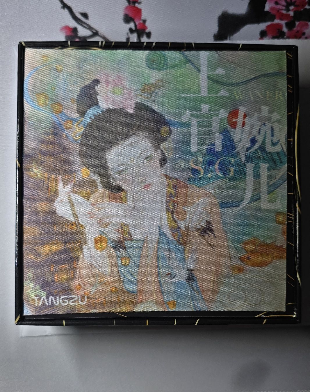 Cuffie: Tangzu Wan'er + Moondrop Spring tips L – Nuovo (secondo la descrizione) da Lodrino venduto da LeoOliv 1