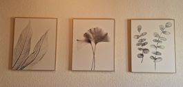 3er Set Wandbilder, botanische Motive, Top Zustand!