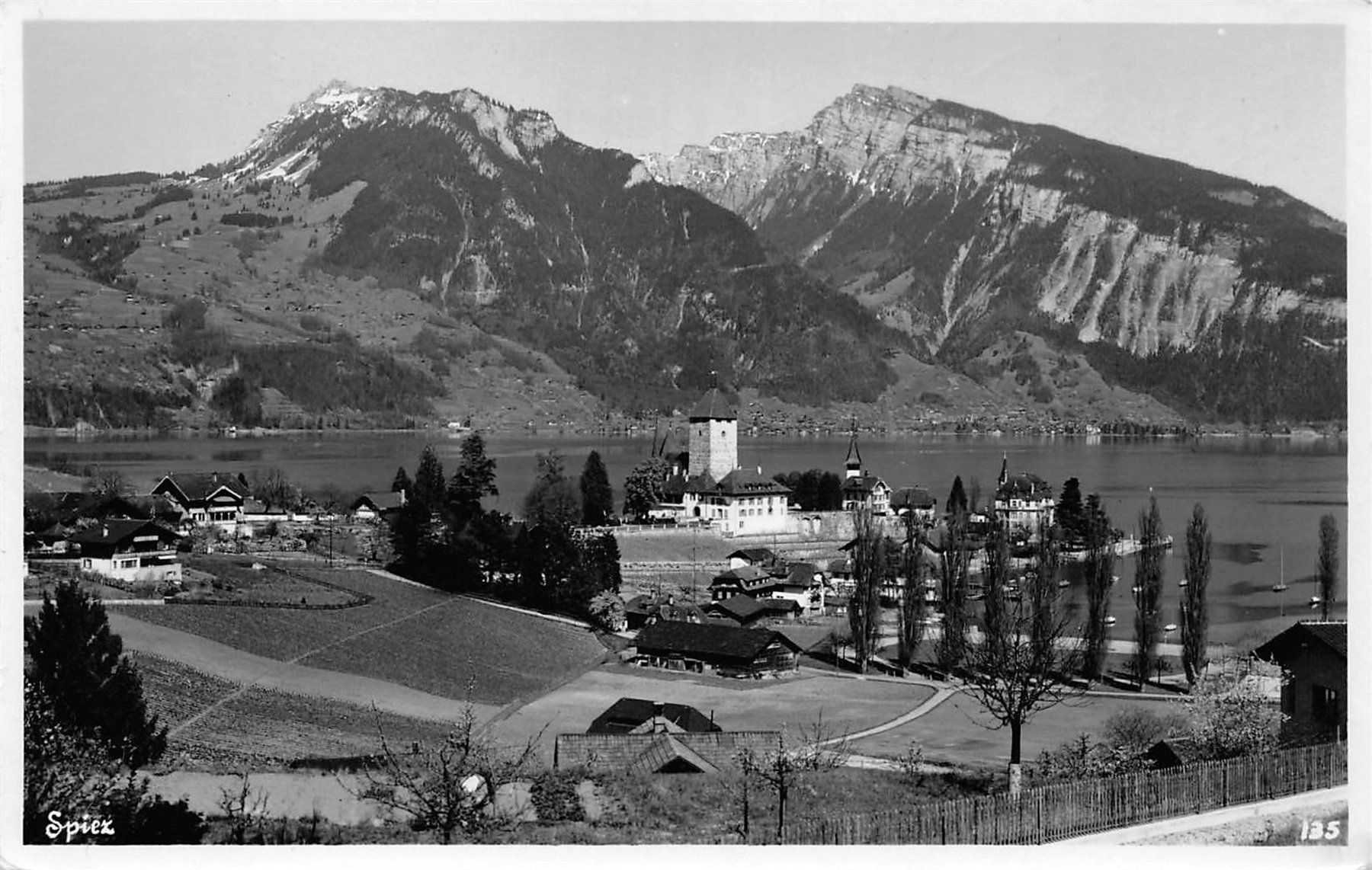 Ansichtskarten: Spiez – Gebraucht aus Ottikon b.Kemptth. von Neptun1974