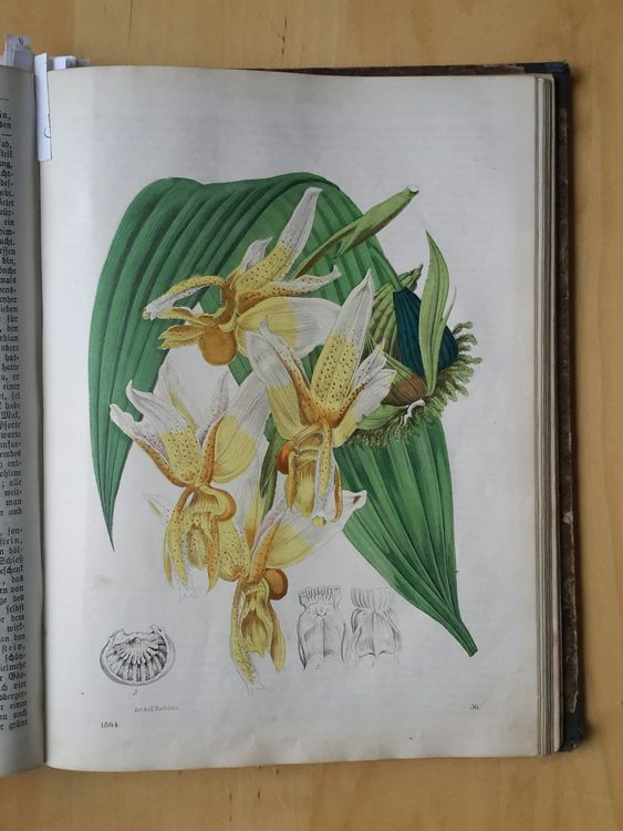 Livres: Das Buch der Welt 1864 . Karl Hoffmann , Stuttgart . – D'occasion à Burgdorf par Olli.34 8