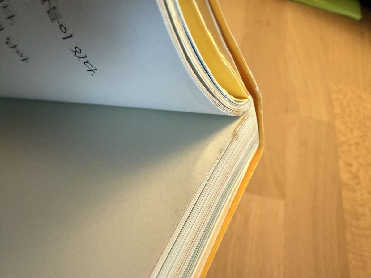 Libri: Livre Pokémon pikachu – Usato da Kloten venduto da Mumiiin 3