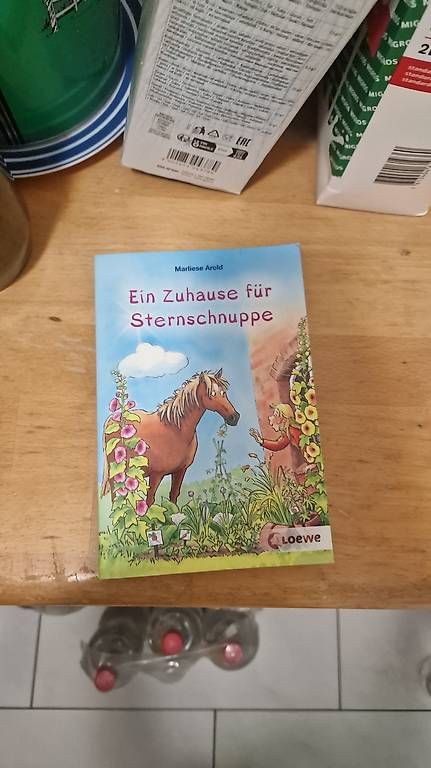 Libri: Ein Zuhause für Sternschuppe – Nuovo (secondo la descrizione) da Marbach SG venduto da Khan66 2