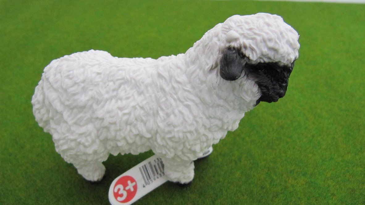 Schleich Giocattoli: Schleich Walliser Schwarznasen Schaf + Schaf mit Lamm – Nuovo (secondo la descrizione) da Brunnen venduto da Kiwiland1 3