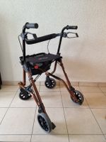 Deambulateur Leitz Taima