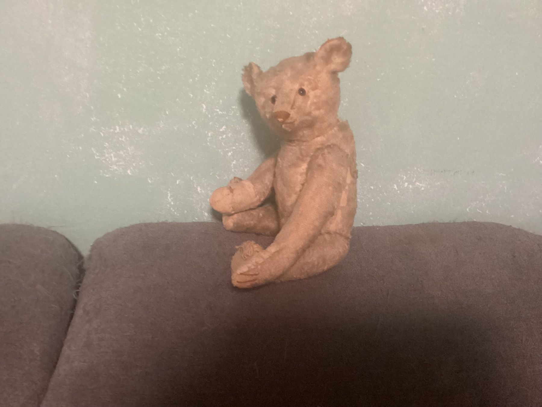 Steiff Giocattoli: ANTIKER STEIFF TEDDY 1910/1920 – Usato da Münchenstein venduto da NoSu98 2