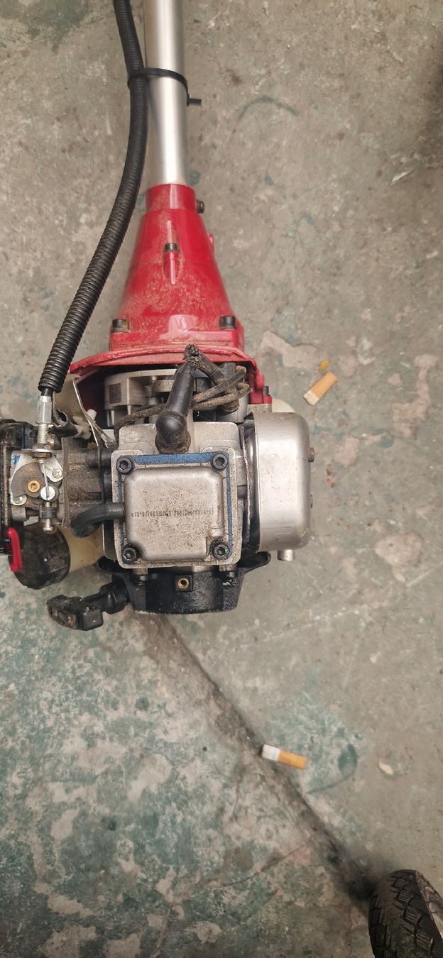 Einhell Tagliaerba: Rasentrimmer Einhell Defekt  – Difettoso da Romanshorn venduto da fag_gnd6 1