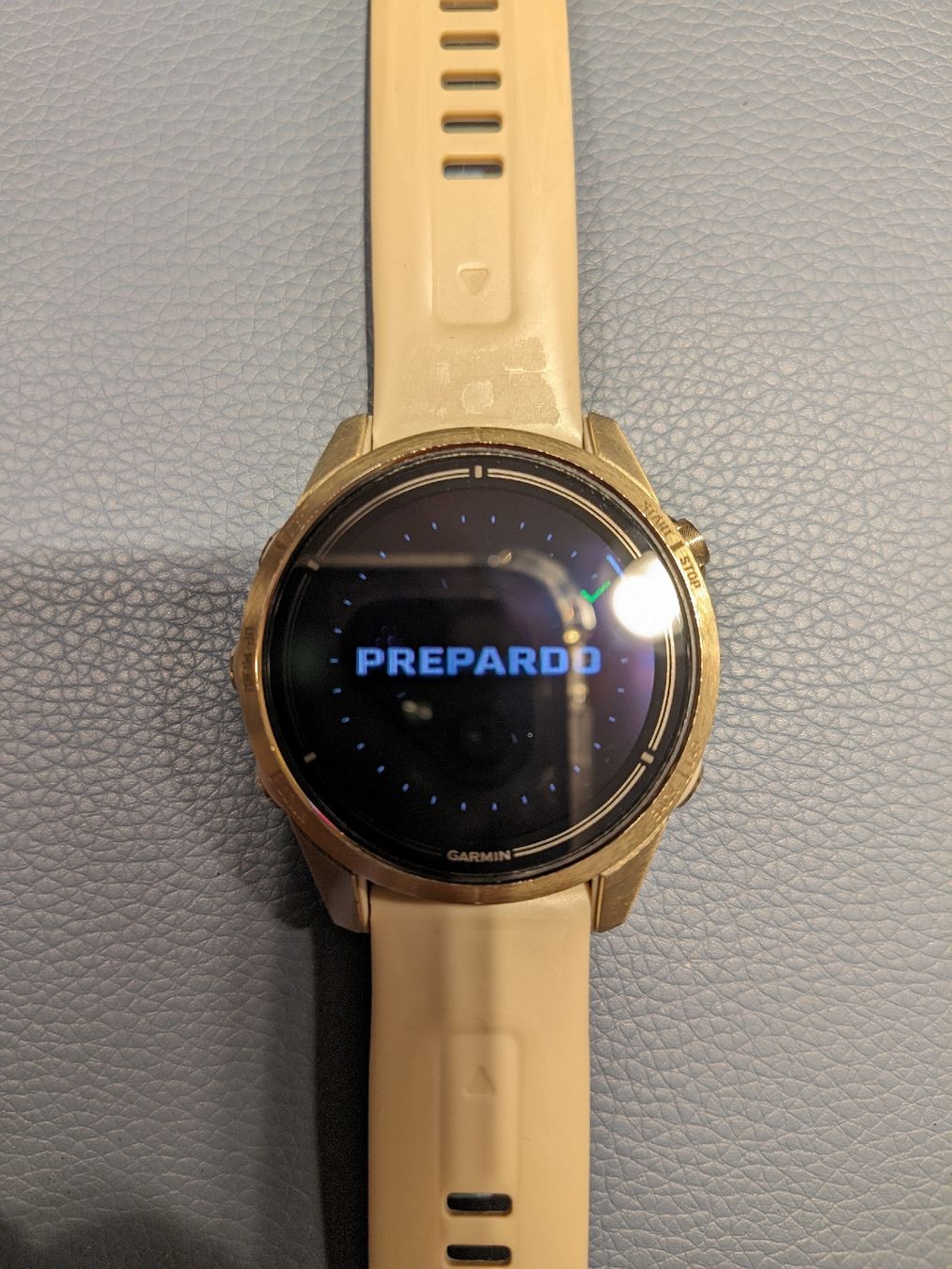 Garmin Smartwatch: Garmin Epix Pro Sapphire 42mm Gen2 – Usato da Basel venduto da mir_tbd8 3
