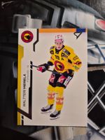 Waltteri Merelä SC Bern Sportzoo 2024/25