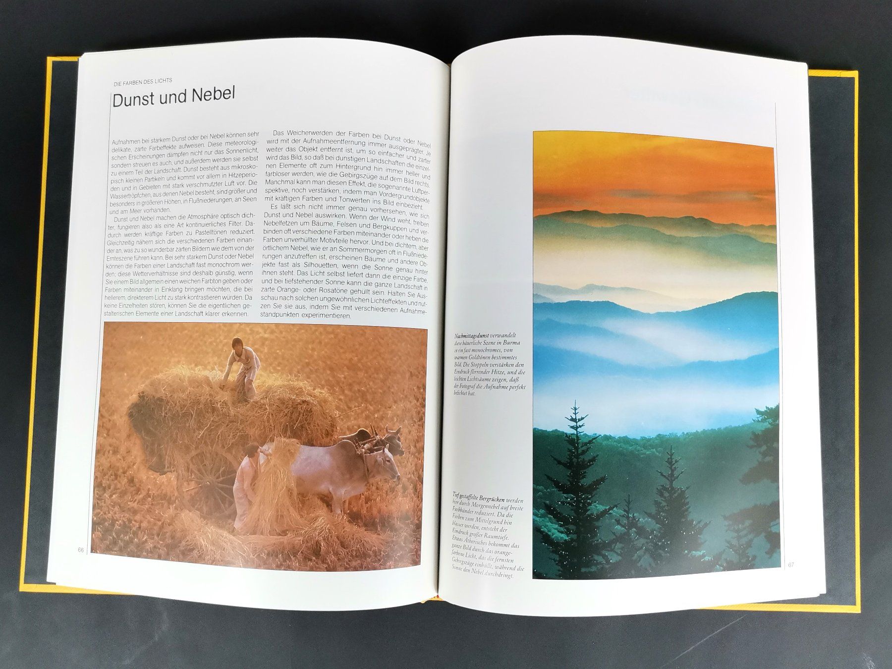 Libri: BUCH Kodak Perfekte Farbfotografie – Usato da Schaffhausen venduto da Restwert_SH 8