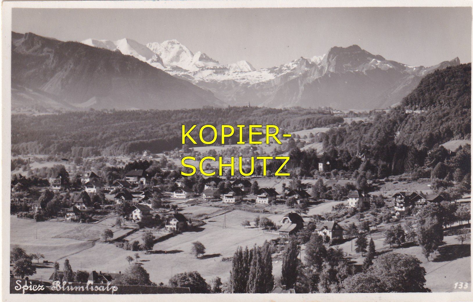 Cartoline postali: Spiez mit Blüemlisalp /bb – Usato da Hombrechtikon venduto da Rudolf07