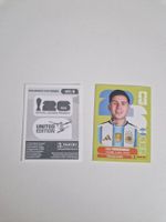 Panini Sticker ARG8