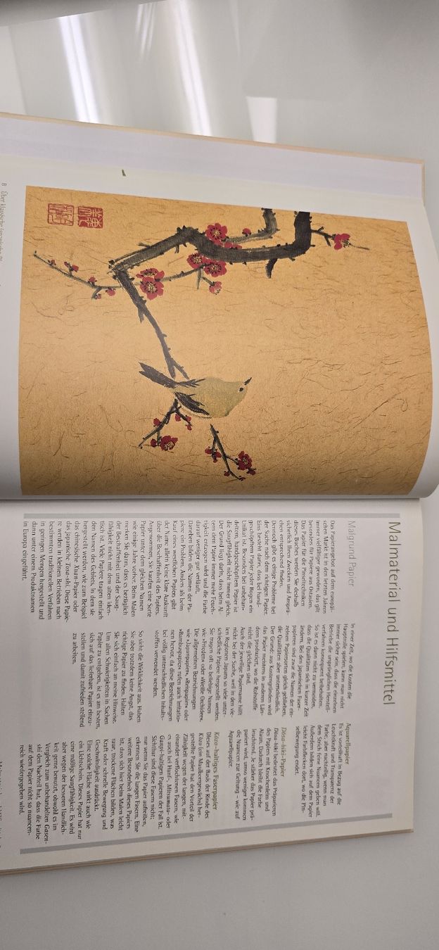 Libri: japanische Blumen- und Tuschmalerei – Usato da Ostermundigen venduto da Velora 5
