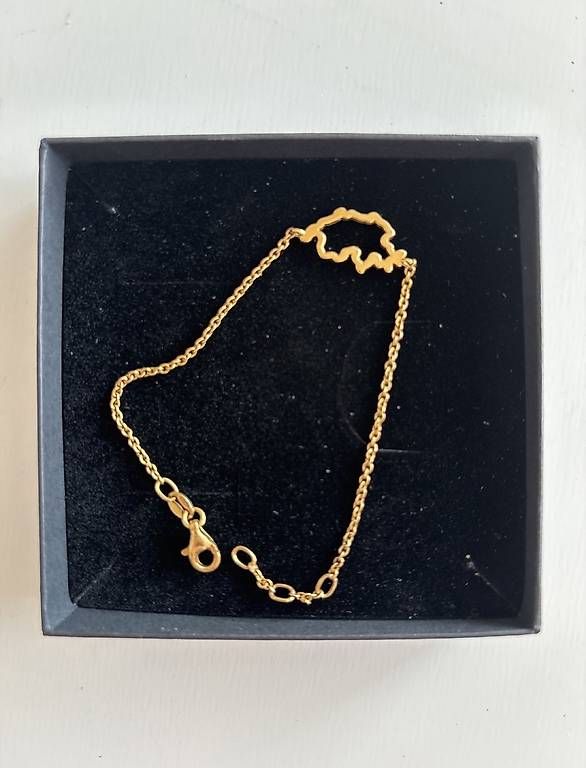 Armbänder & -reifen: Swiss Map  bracelet  – Neu und originalverpackt aus Chavornay von StVanessaCH 1