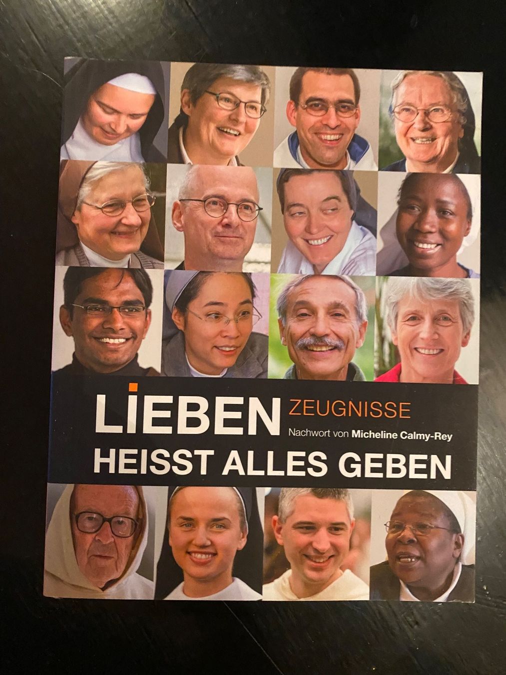 Bücher: Buch Lieben heisst alles geben – Gebraucht aus Lüchingen von LIDB