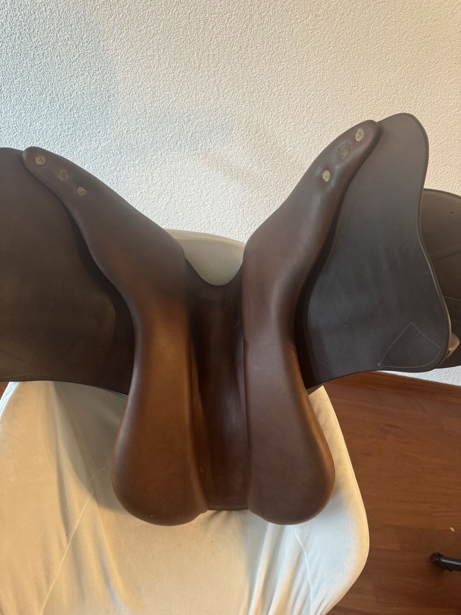 Selle & Accessori: Meyer Springsattel 17.5 – Usato da Neuenegg venduto da dur_b79r 2