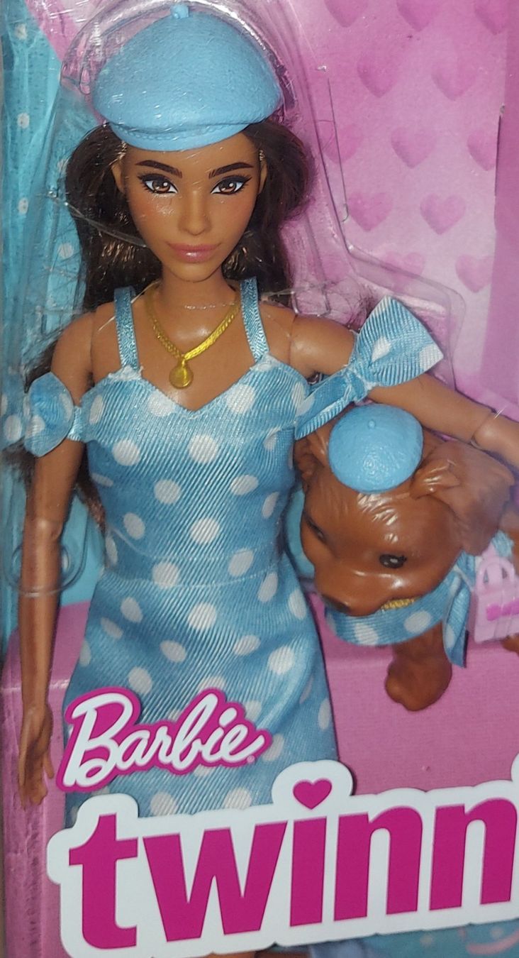 Puppen: Barbie "Twinning Looks",2025,Neuve – Neu und originalverpackt aus Ecublens VD von Magic_Island 2