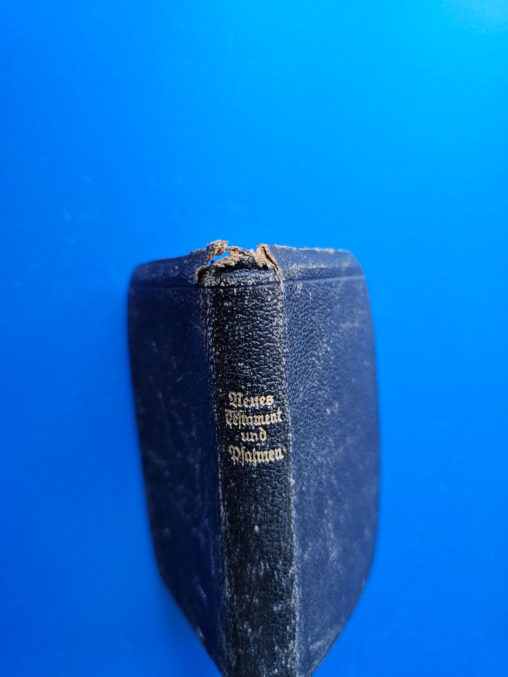 Libri: NEUES TESTAMENT GEDRUCKT 1953 – Difettoso da Ermatingen venduto da Monaco1215