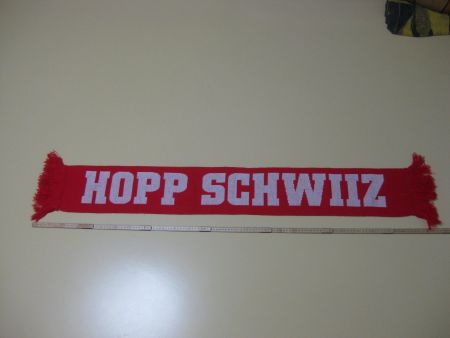 Fussball Schaal Nati SUISSE SCHWEIZ / HOPP SCHWIIZ