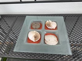 Dekorative Glasplatte mit Muscheln - Sommerdeko maritim