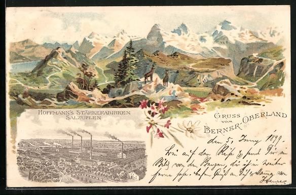 Cartoline postali: Litho Berner Oberland, Steinböcke in de – Usato da Berlin venduto da bartko-reher