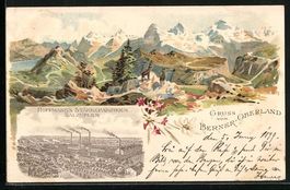 Litho Berner Oberland, Steinböcke in de