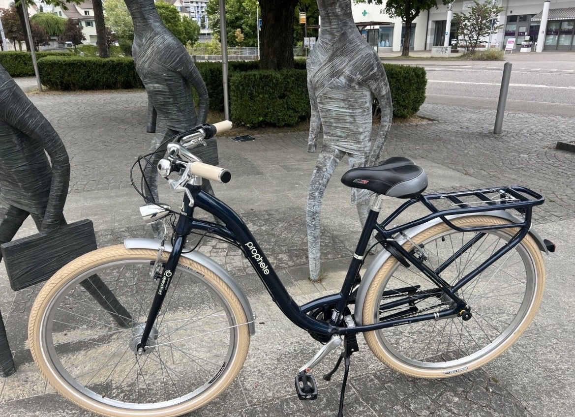 Biciclette: Damen Fahrrad – Usato da Rheinfelden venduto da dan_9ykr