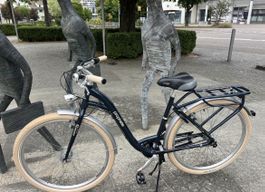 Damen Fahrrad